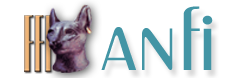 logo anfi
